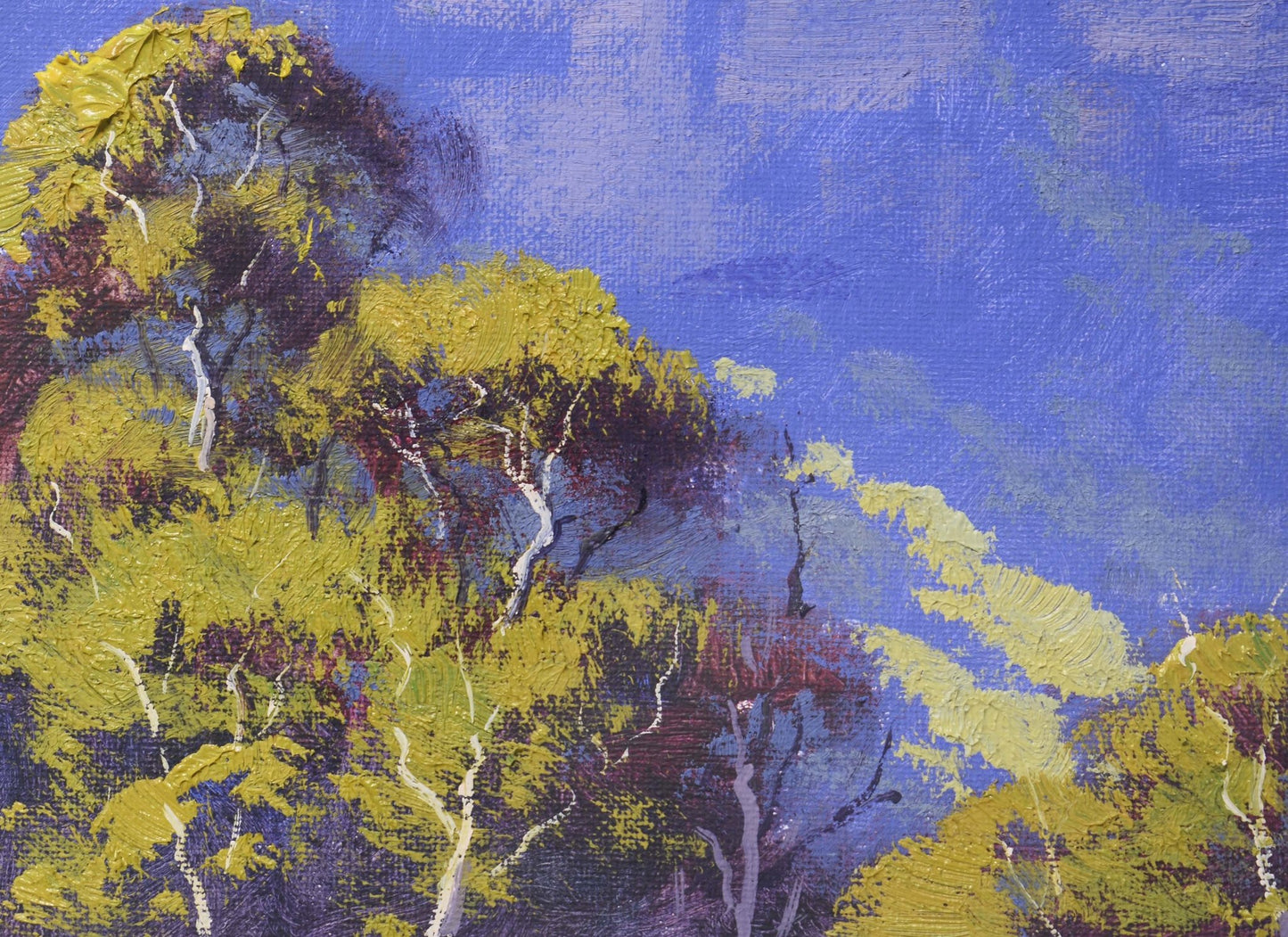 Katoomba Cliffs- The Blue Mountains framed oil painting