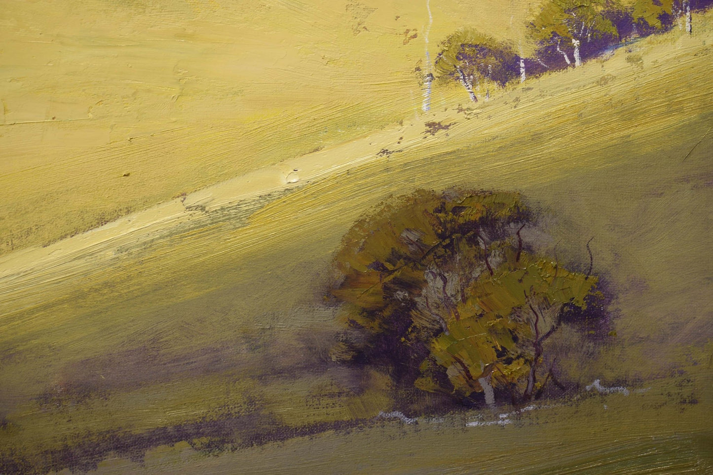 Kanimbla Valley Landscape – Large Original Oil Painting, Blue Mountains NSW