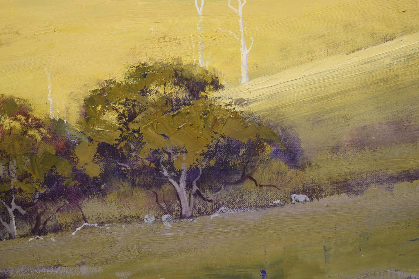 Kanimbla Valley Landscape – Large Original Oil Painting, Blue Mountains NSW