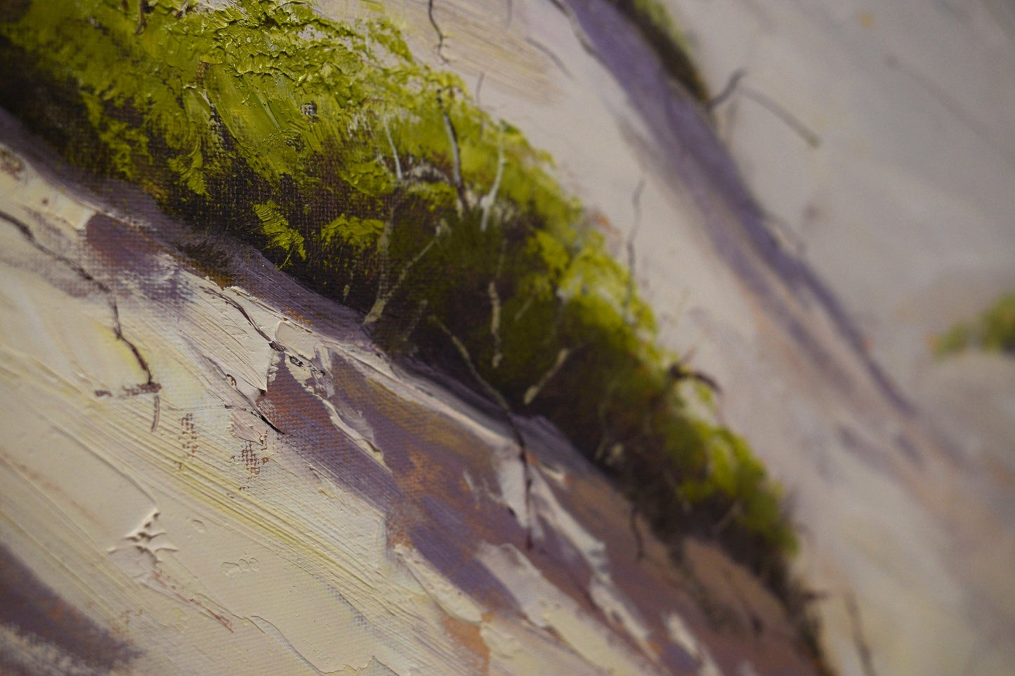 Close-up of a textured surface with green and brown colors