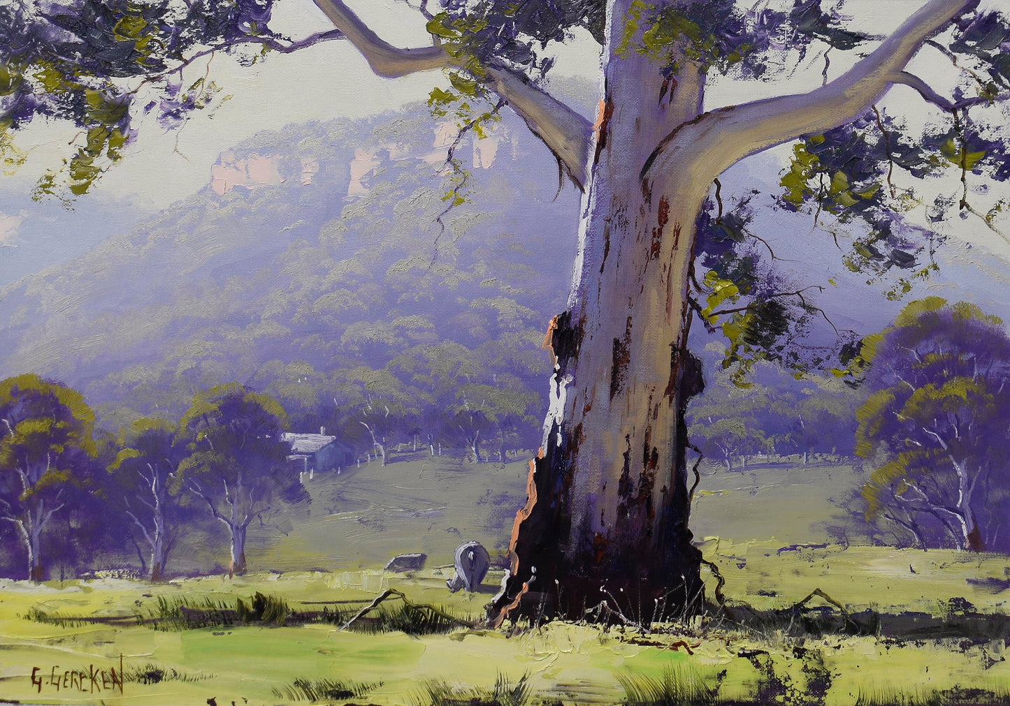 Blue Mountains Valley Gum Tree Framed Oil Painting | Original Australian Landscape Art by Graham Gercken