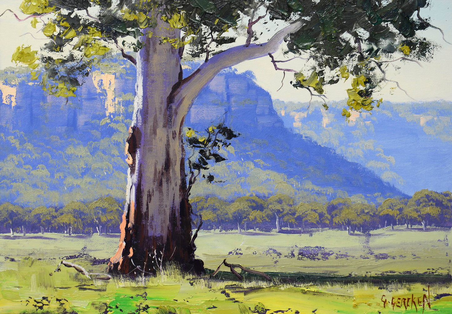 Gum Tree, Blue Mountains | Framed Original Oil Painting G Gercken