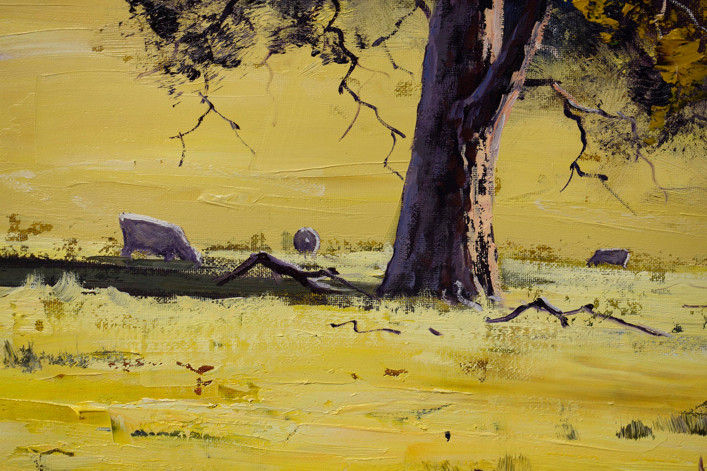 Share Gum tree Summer Australian Landscape Capertee Valley nsw Original oil Painting