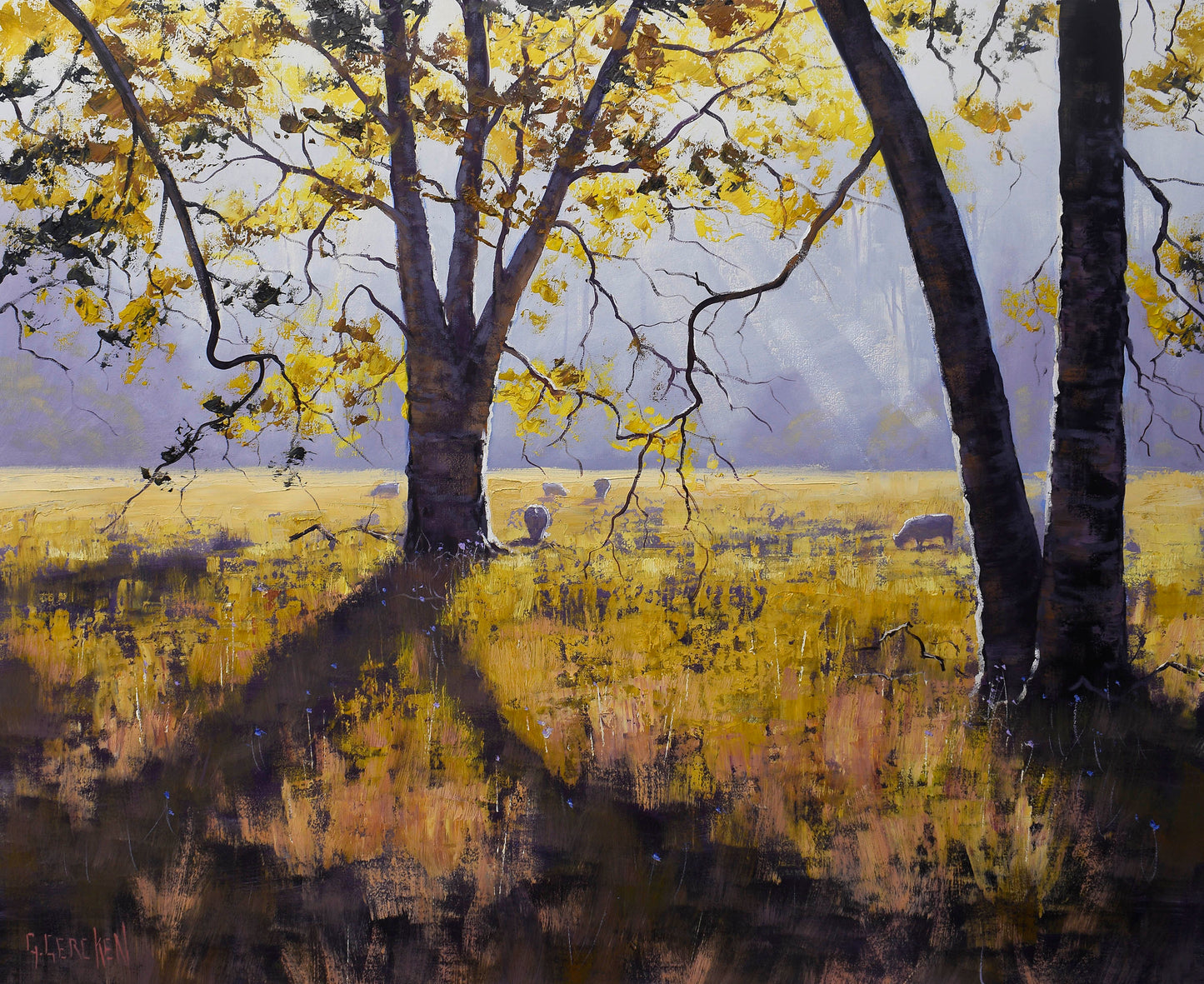Golden Light Through Gum Trees | Original Australian Oil Painting