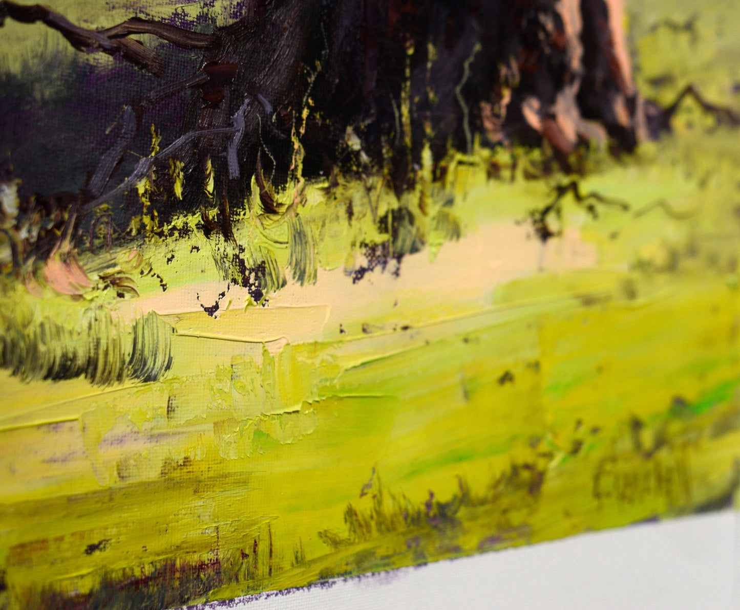 Namoi River Gum – Framed Original Australian Landscape Oil Painting