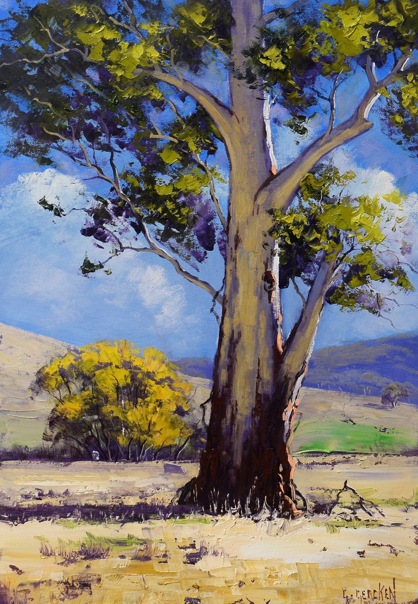 Golden Autumn Gum – Framed Original Australian Landscape Oil Painting
