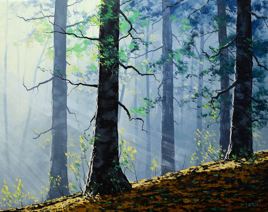 Morning Light Through the Misty Forest – Original Oil Painting by Graham Gercken (30" x 24")