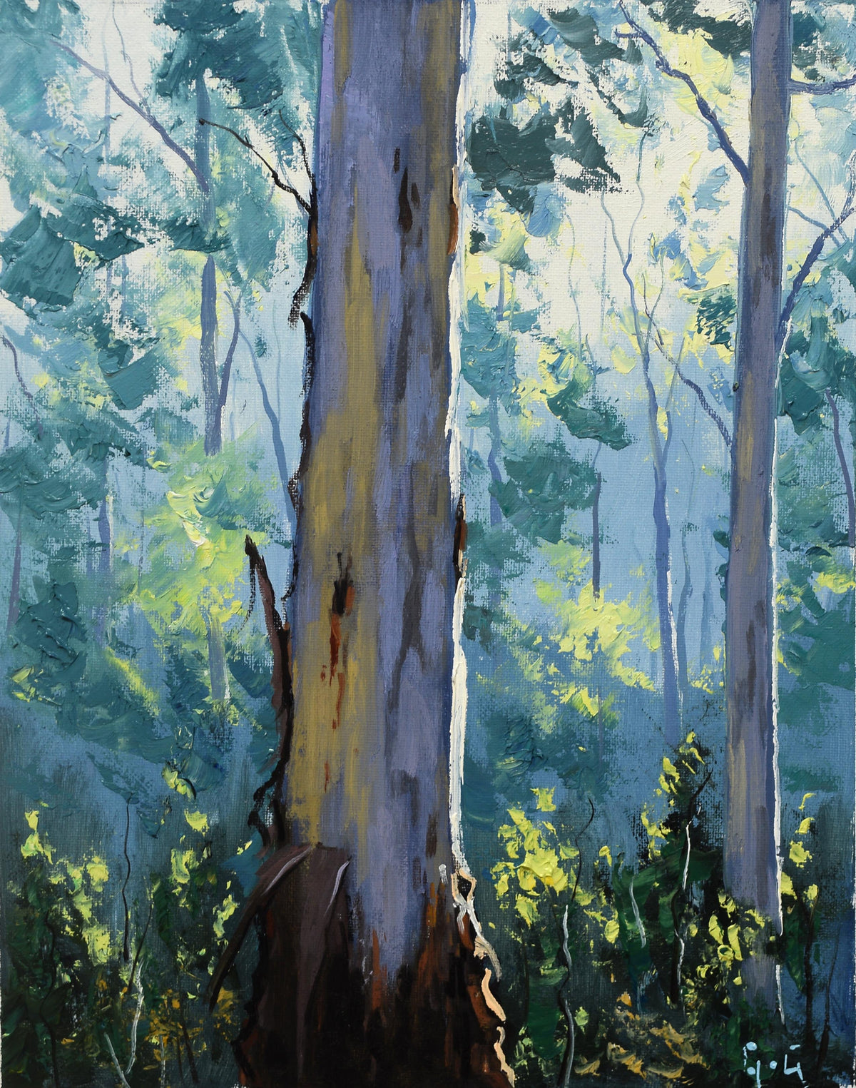 Original Framed Gum Tree Forest Oil Painting