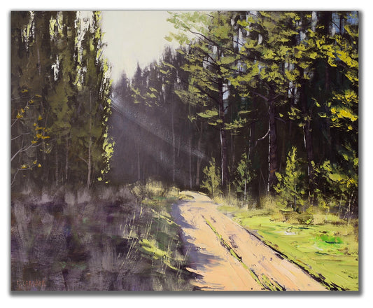 Pine Forest at Sunny Corner NSW – Original Oil Painting on Canvas