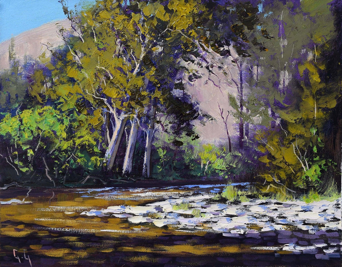 Sunlit Coxs River Sheoaks – Framed Original 8x10 Oil Painting