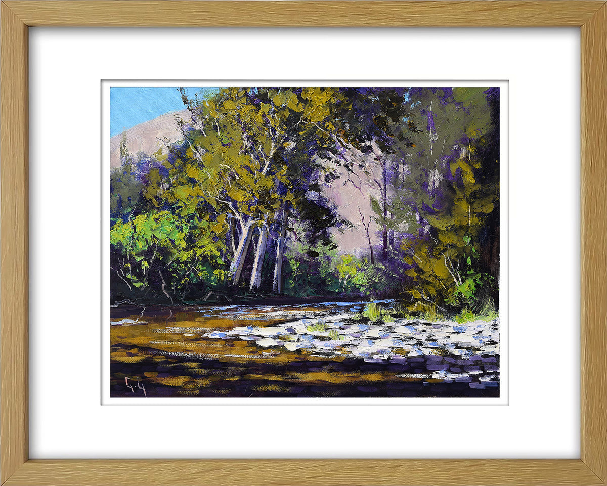 Sunlit Coxs River Sheoaks – Framed Original 8x10 Oil Painting