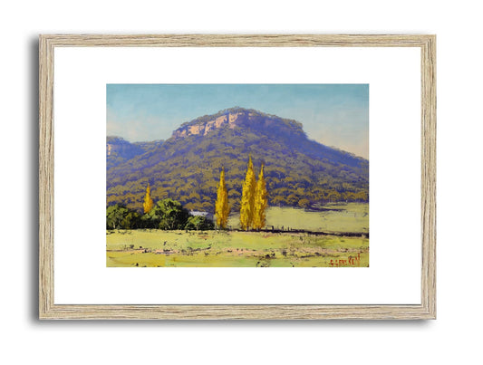 Autumn in Hartley Valley – Framed Original 12x16 Oil Painting