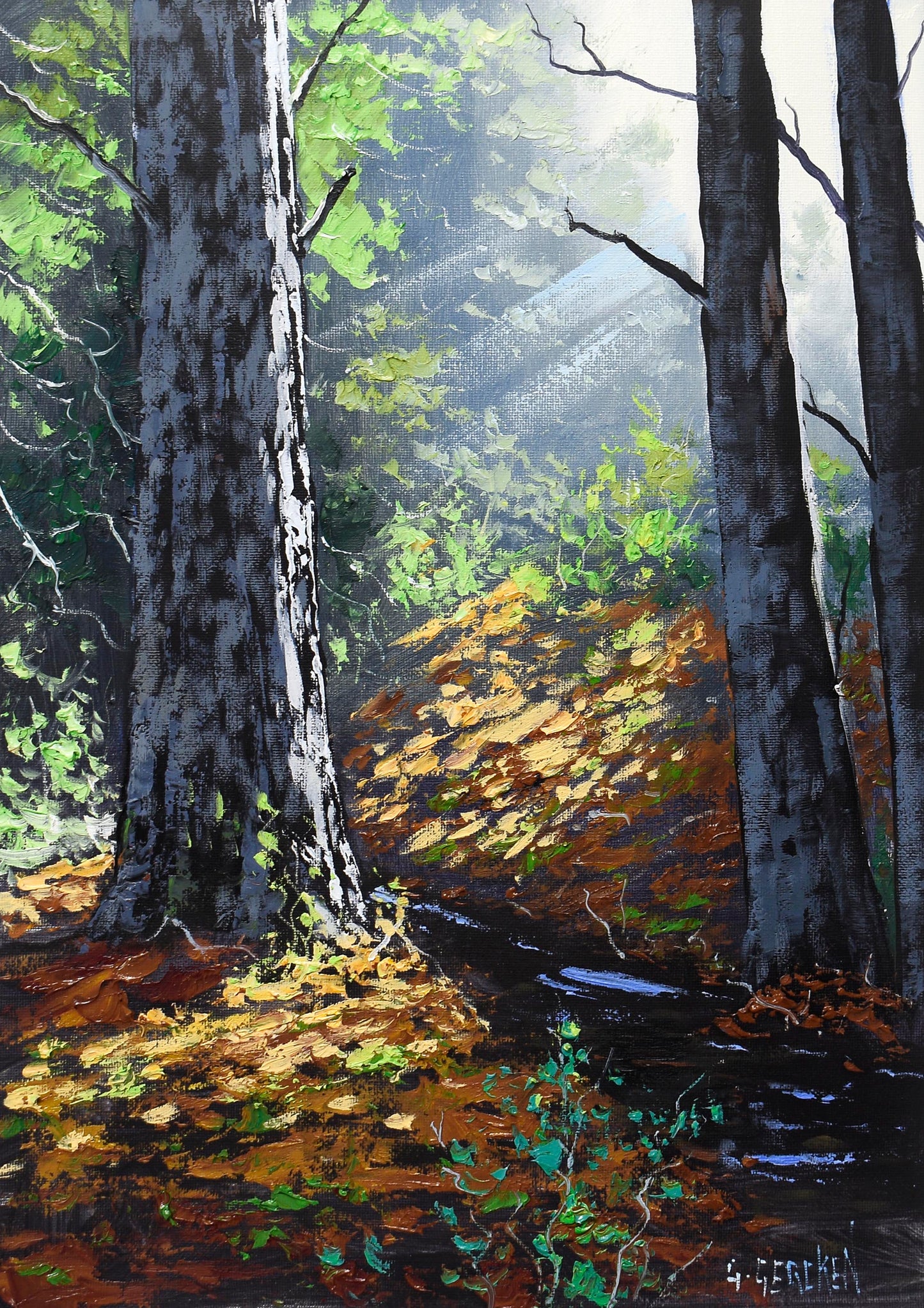 Sunlit Forest | Framed Oil Painting | Australian Bush Landscape Art
