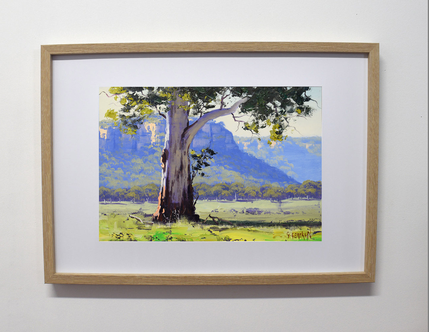 Gum Tree, Blue Mountains | Framed Original Oil Painting G Gercken