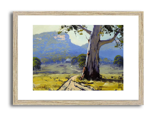 Gum Tree, Blue Mountains | Framed Original Oil Painting G Gercken