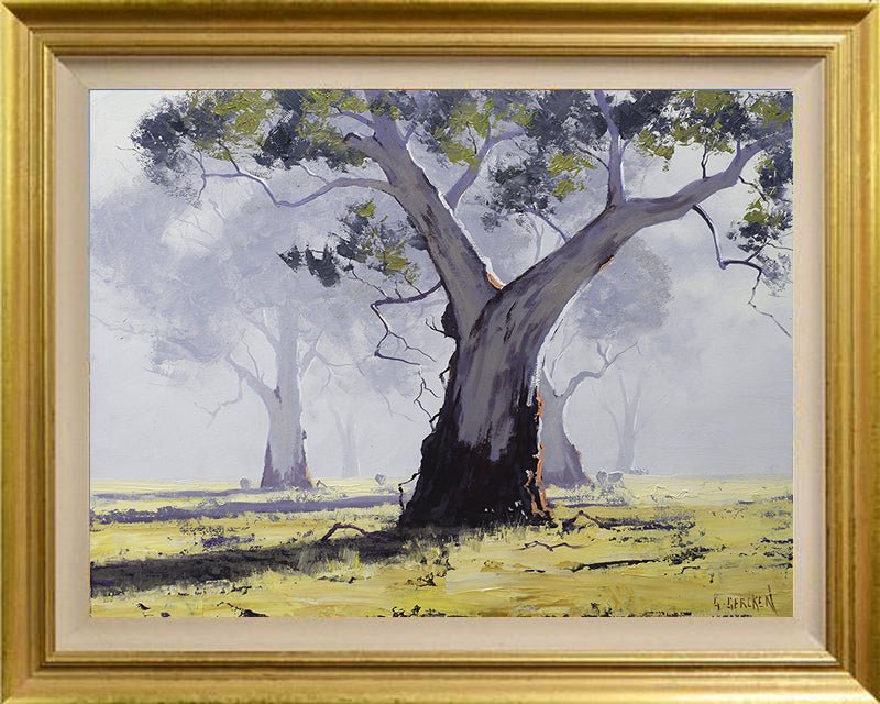 Misty Morning Gum trees