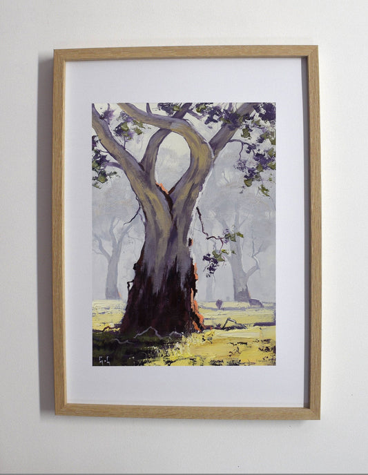 Australian Bush Landscape with Gum Tree