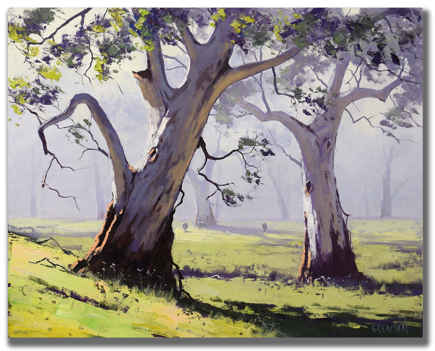 Gum Trees Oil Painting – Australian Bush Landscape Art, 16x20" Unframed & Ready to Hang