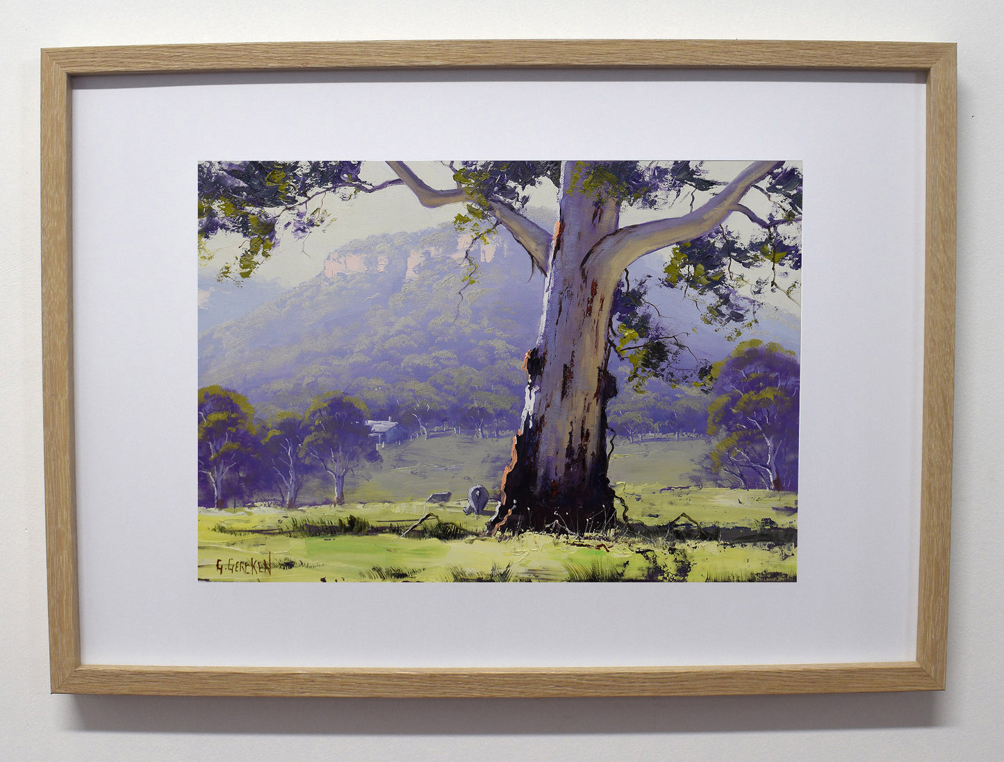 Blue Mountains Valley Gum Tree Framed Oil Painting | Original Australian Landscape Art by Graham Gercken