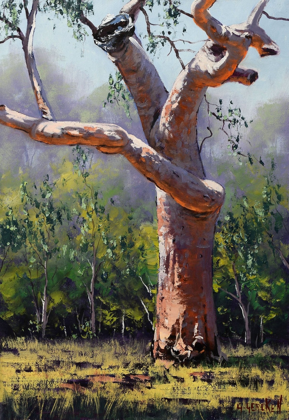 Sydney Coastal Red Gum tree Australian Landscape Framed oil painting G. Gercken