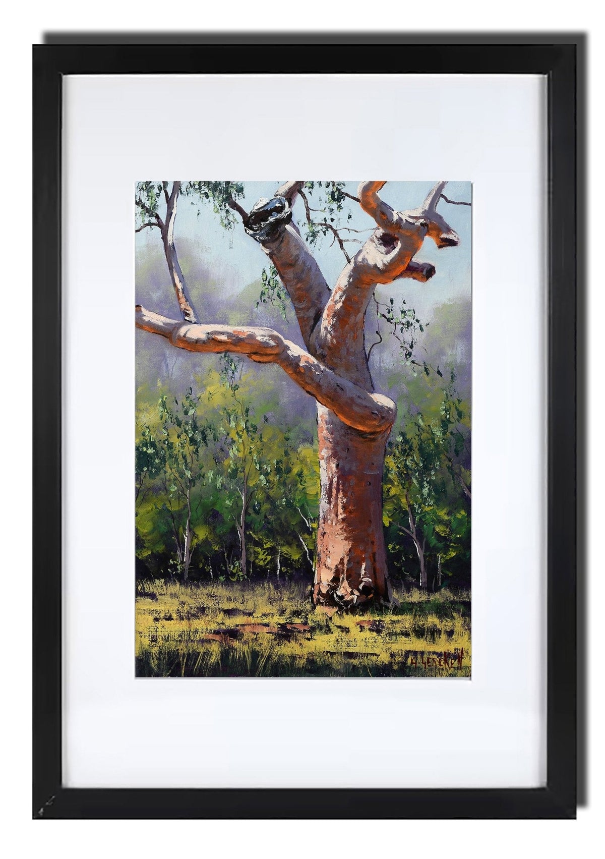 Sydney Coastal Red Gum tree Australian Landscape Framed oil painting G. Gercken
