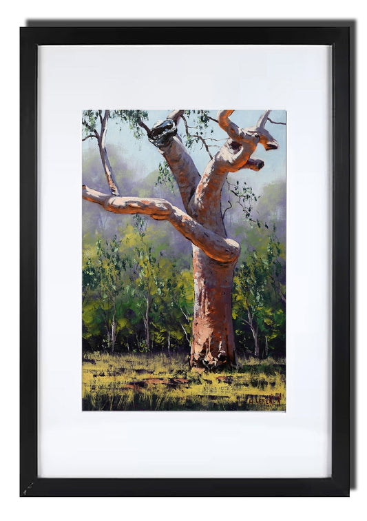Sydney Coastal Red Gum tree Australian Landscape Framed oil painting G. Gercken
