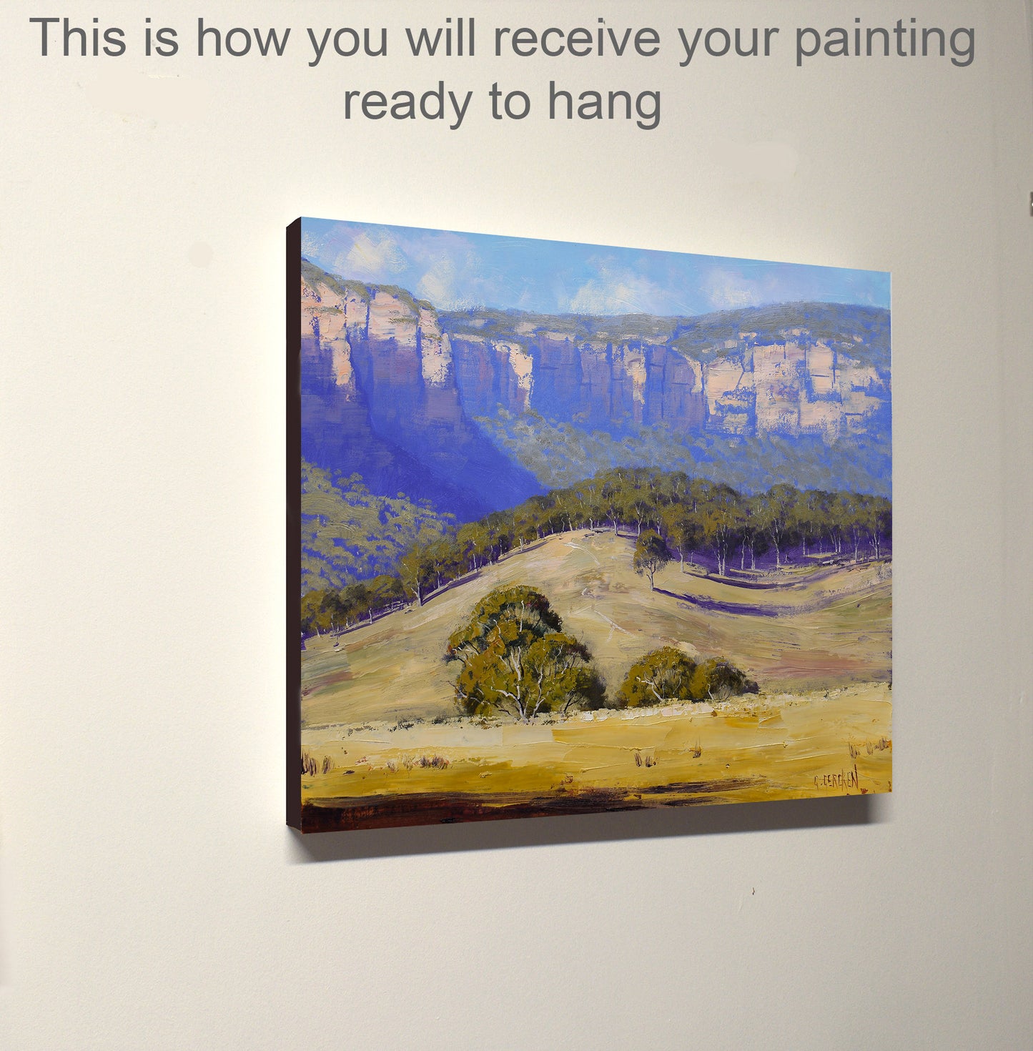 Summer landscape Capertee valley