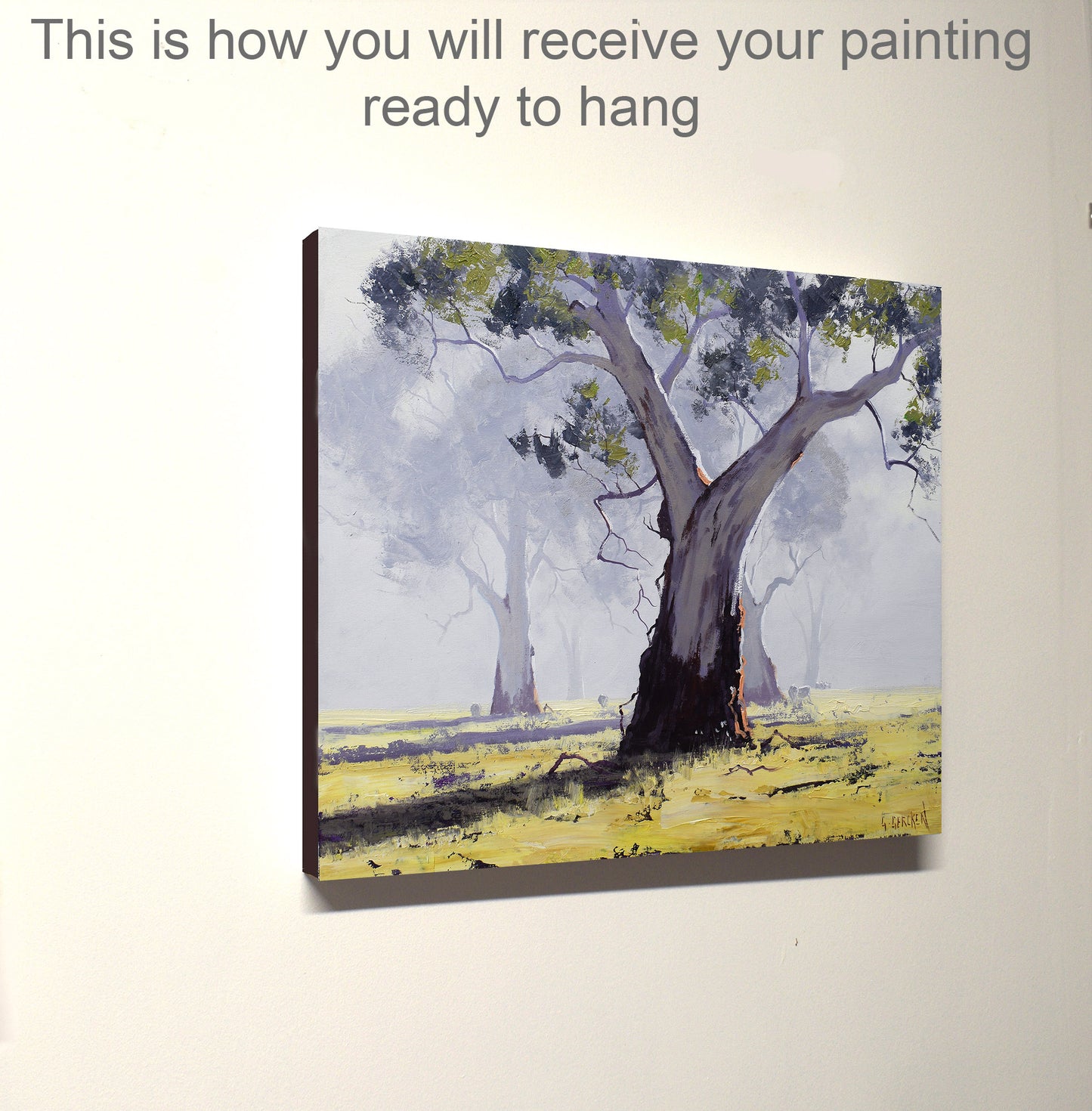 Misty Morning Gum trees