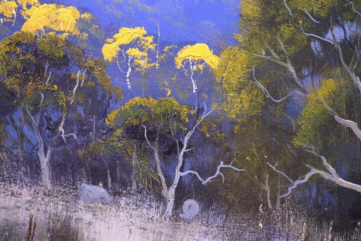 Afternoon Summer light, Central West NSW, Hampton