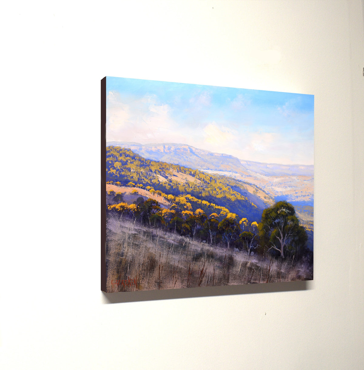 Afternoon Summer light, Central West NSW, Hampton