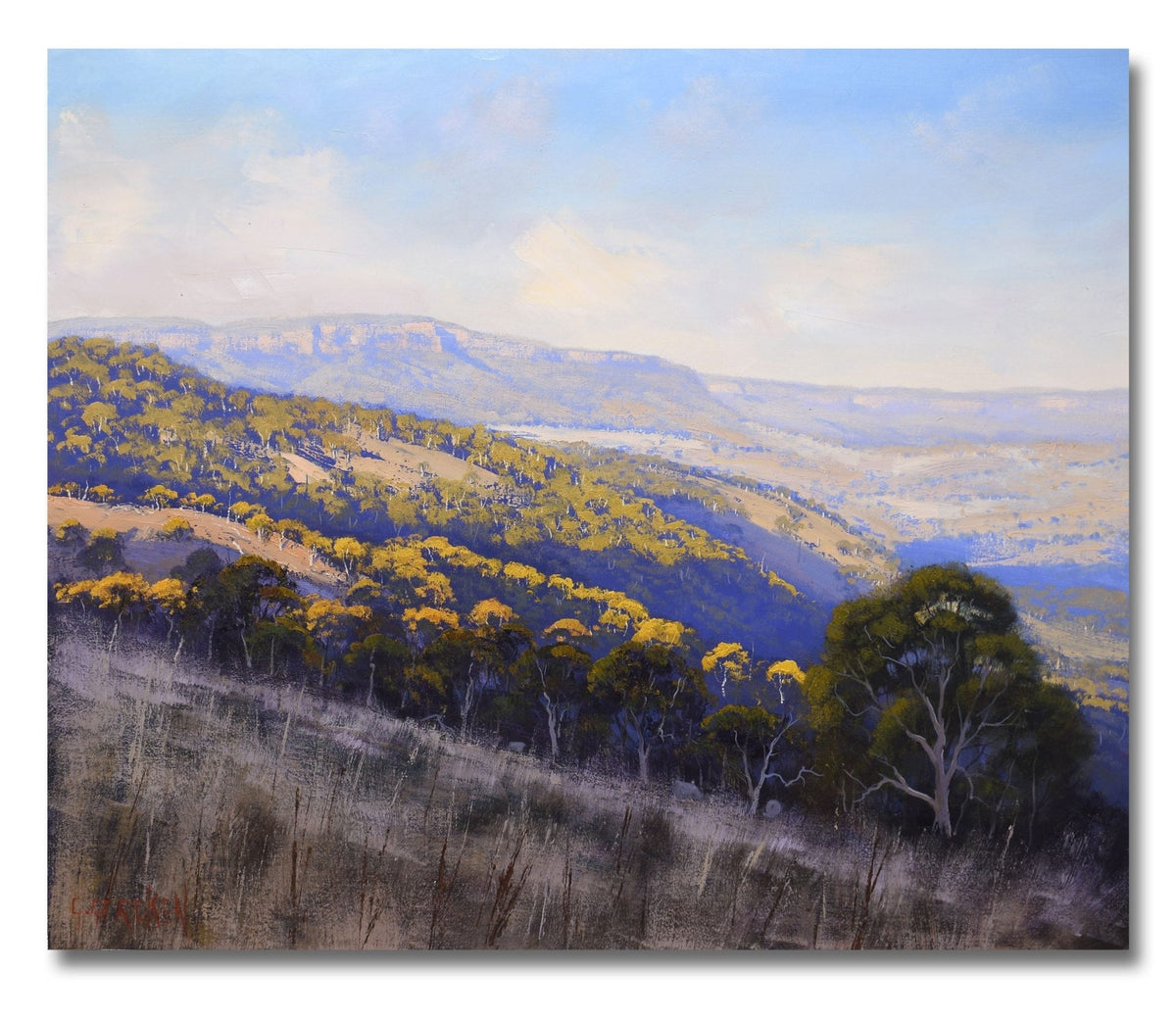 Afternoon Summer light, Central West NSW, Hampton