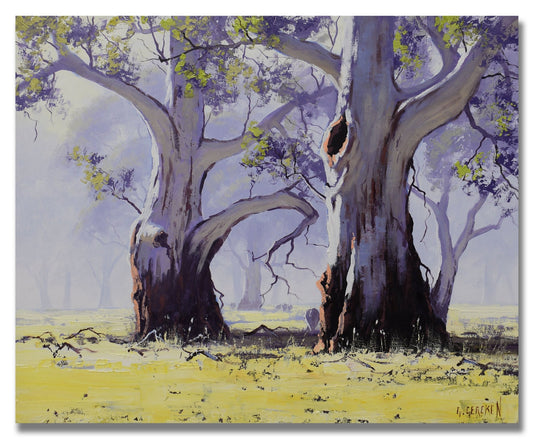Morning Light, Yan Yean – Original Australian Gum Tree Oil Painting by Graham Gercken