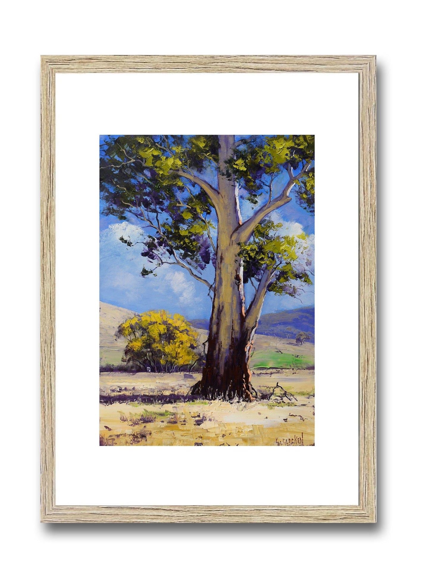 Golden Autumn Gum – Framed Original Australian Landscape Oil Painting
