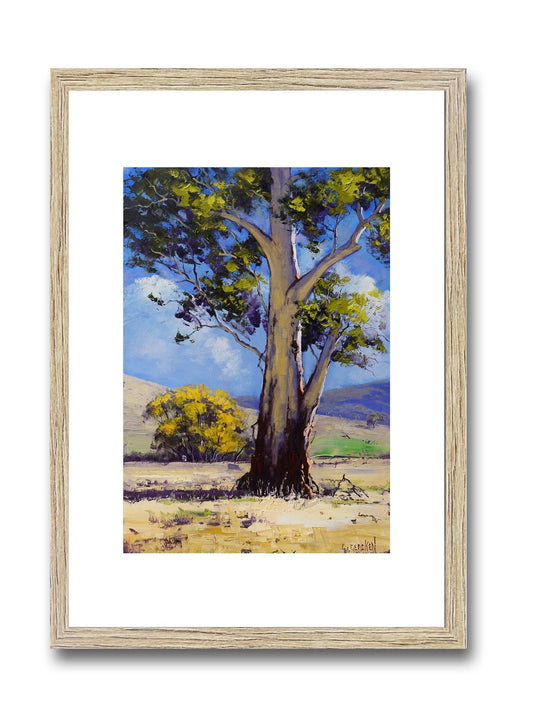 Golden Autumn Gum – Framed Original Australian Landscape Oil Painting