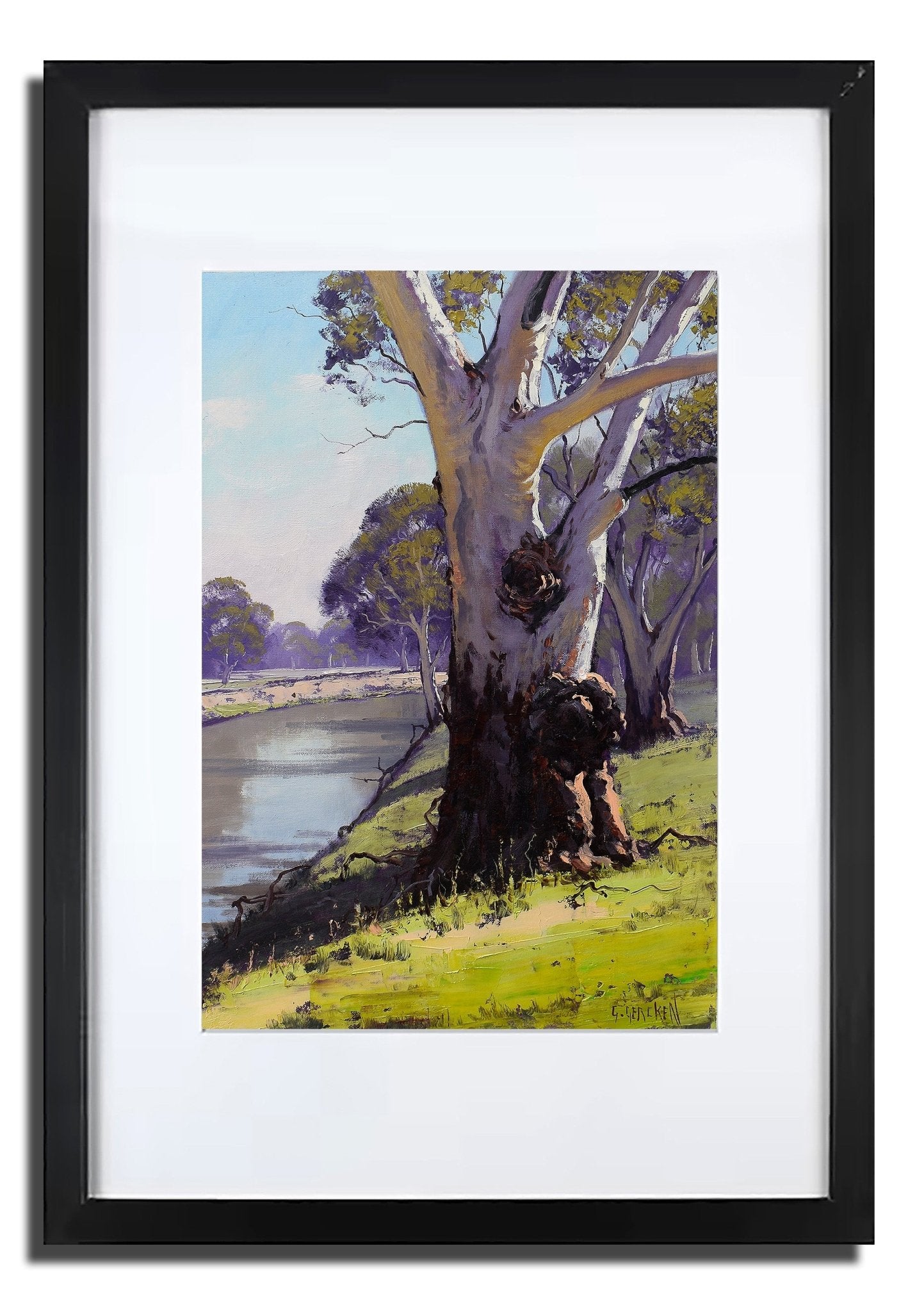 Namoi River Gum – Framed Original Australian Landscape Oil Painting