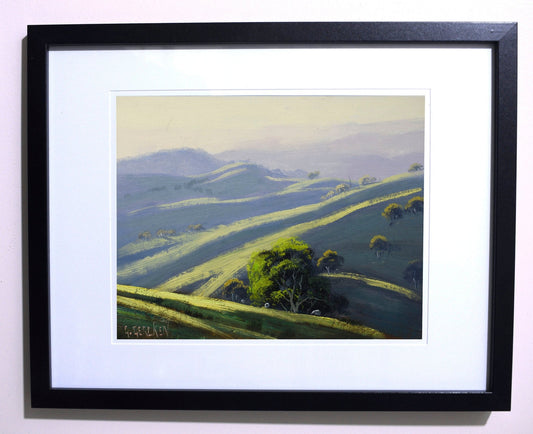 Framed Oil Painting Rolling Hills Landscape Central West NSW