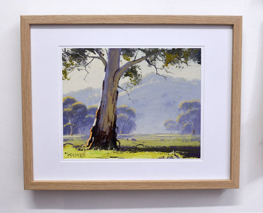 Framed Original Oil Painting of Gum Tree Landscape | Australian Bush Art by Graham Gercken