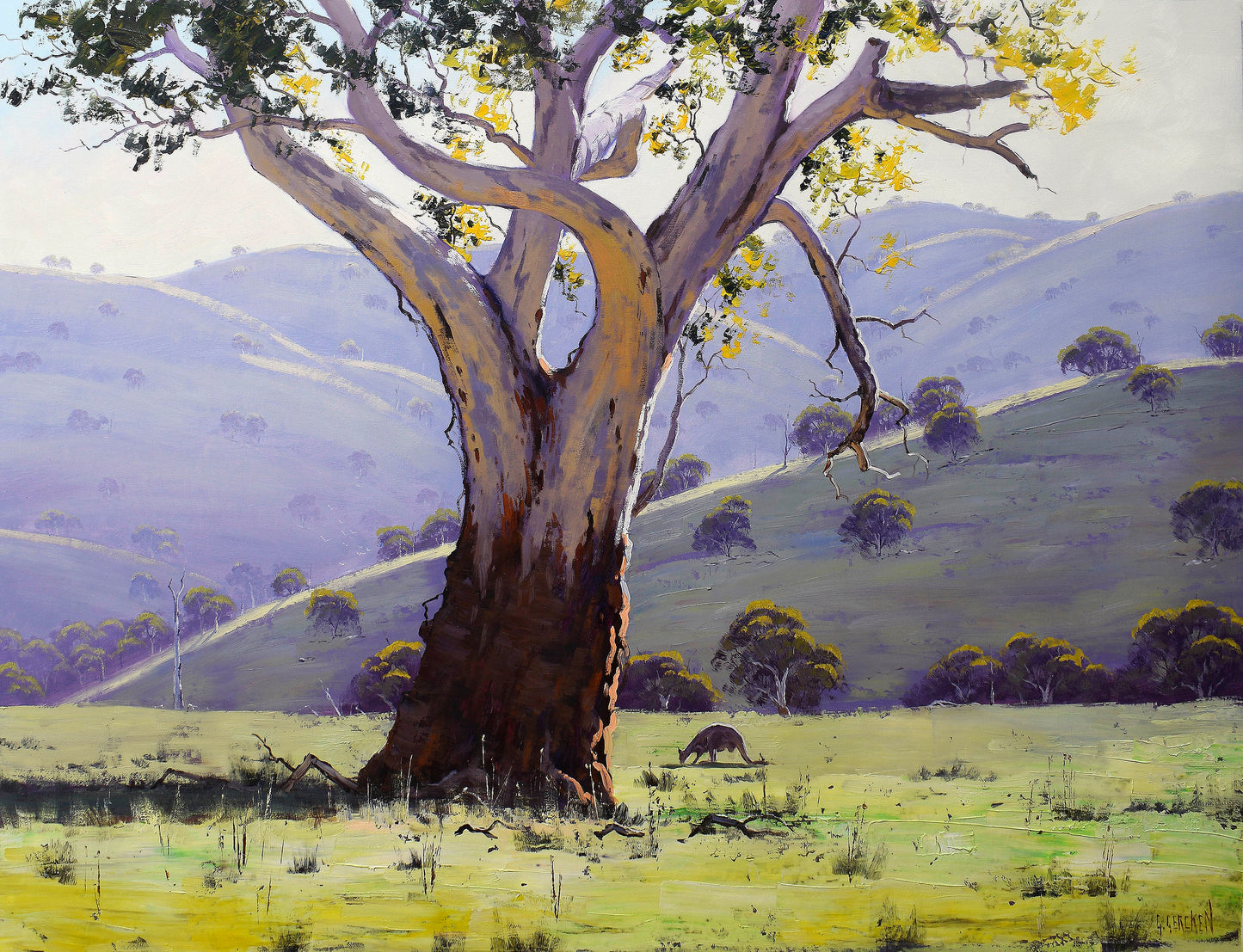 Mudgee Landscape – Large Original Gum Tree Oil Painting 40 x 30"