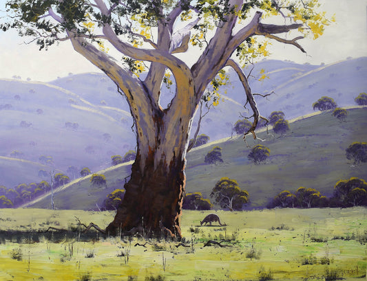 Mudgee Landscape – Large Original Gum Tree Oil Painting 40 x 30"