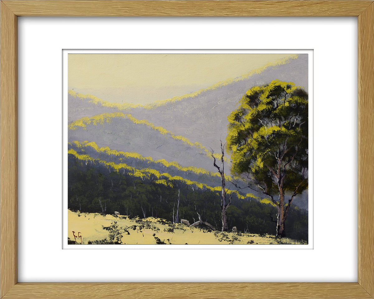 Golden Light over Bathurst Hills – Framed Original 8x10 Oil Painting