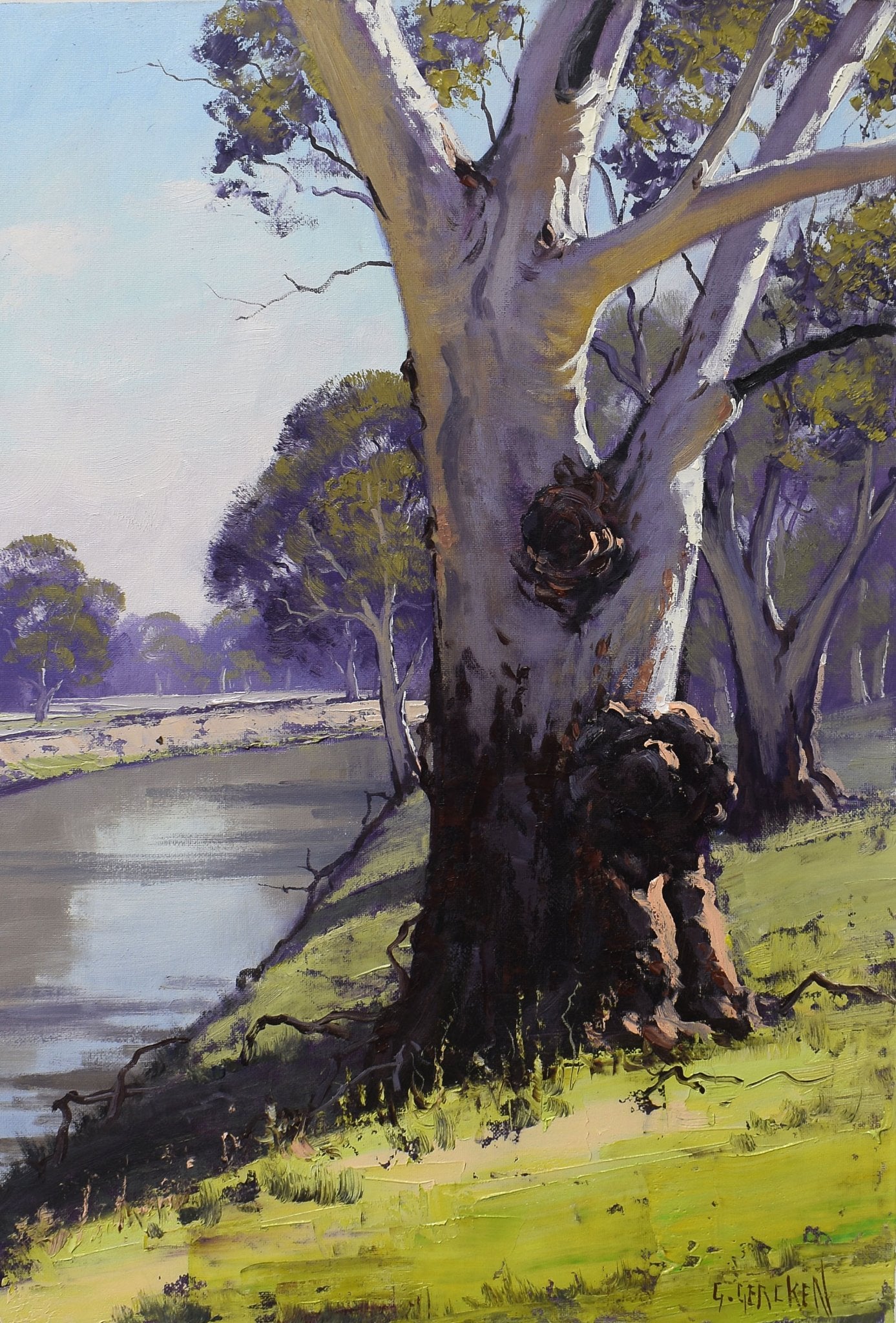 Namoi River Gum – Framed Original Australian Landscape Oil Painting
