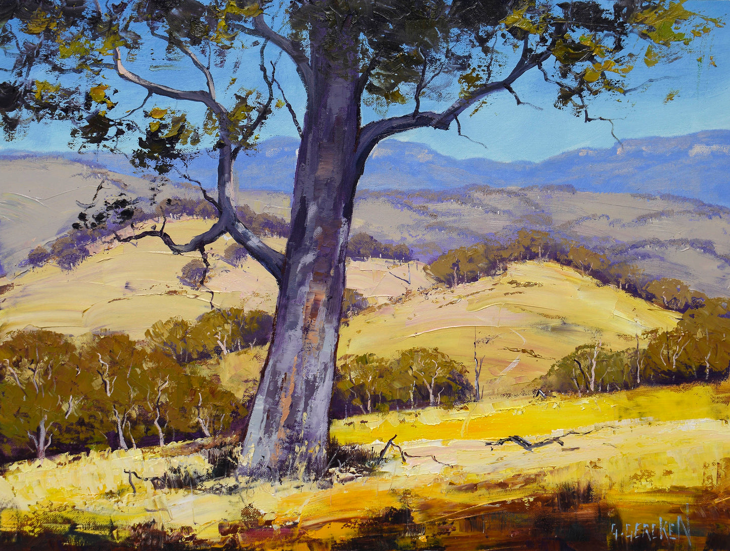 Blue Mountains Valley Gum Tree Framed Oil Painting Australian Landscape Gercken