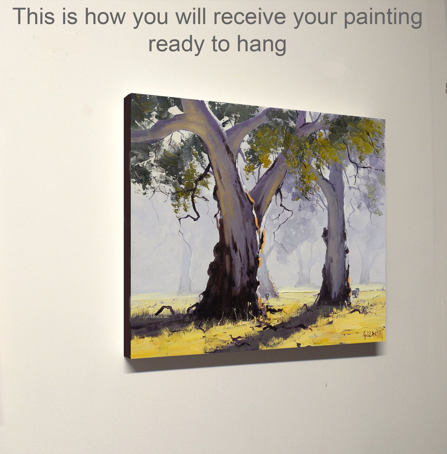 Misty Morning Gum trees