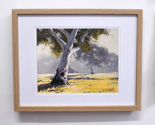 Framed Original Oil Painting – Australian Landscape with Gum Tree | Graham Gercken