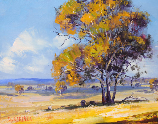 Mudgee Landscape with Gum Trees