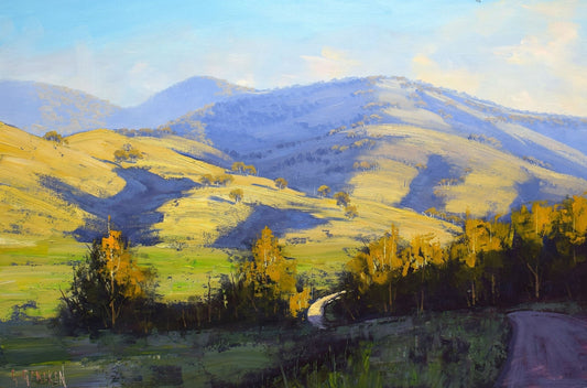 Original Australian landscape oil painting by Graham Gercken